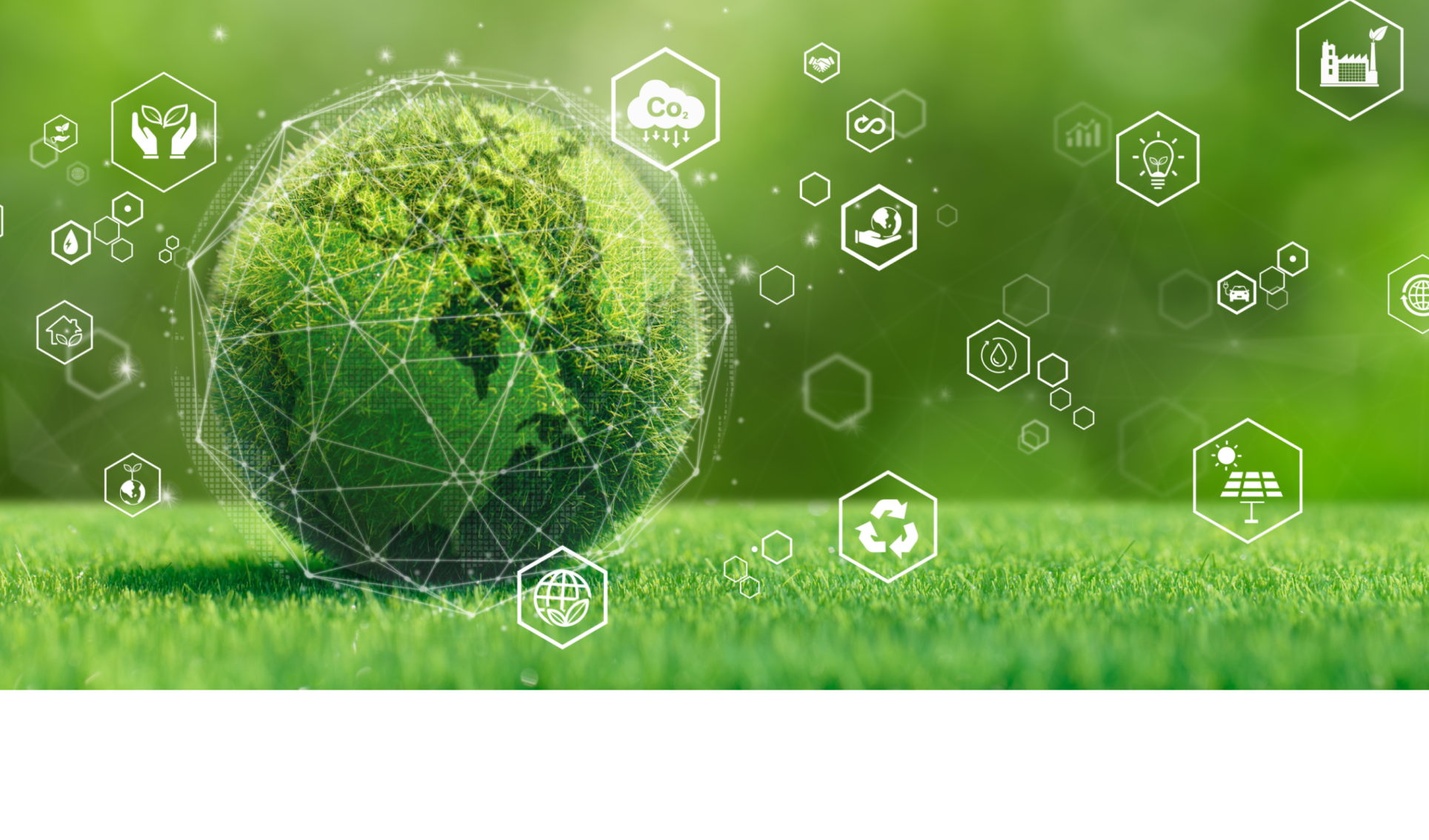 INVESTIMENTI - LINEA GREEN